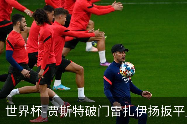 世界杯-贾斯特破门雷扎伊扬扳平 半场伊朗1-1新西兰